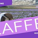 Zafferun cover